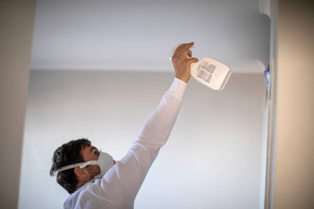 Best Water Damage Restoration  in Grant Park, IL