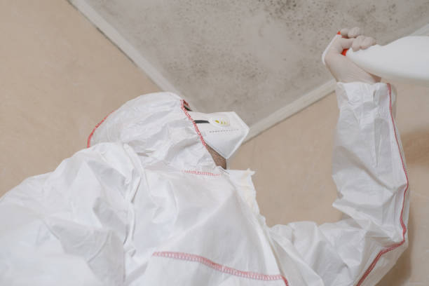 Best Home Mold Removal  in Grant Park, IL